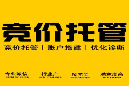 案例研究：SEM推广助力企业业绩增长